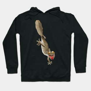 Angry Fimbriatus Hoodie